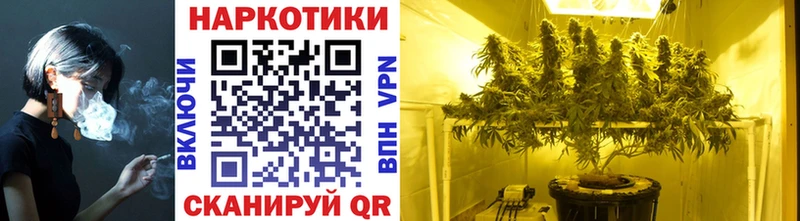 Как найти наркотики Лиски Гашиш  Каннабис  СК  Меф 