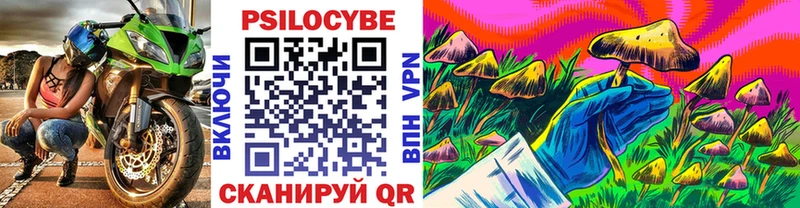 Псилоцибиновые грибы Psilocybe  blacksprut вход  Лиски 