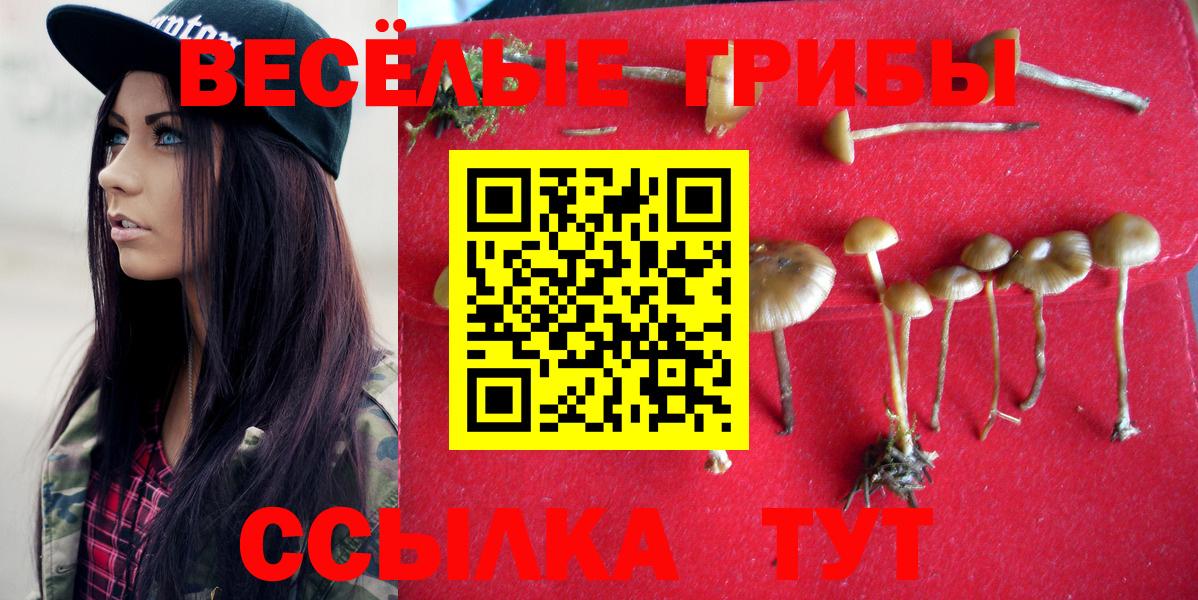 Лиски  Псилоцибиновые грибы мицелий  Вход с VPN 